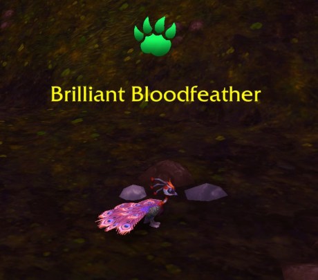 Brillant Bloodfeather